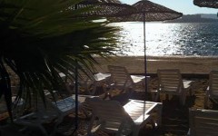 Beach-with-beautiful-palm-and-atmosphere-MBH-240x150